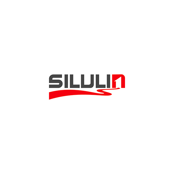 丝路霖品牌logo设计