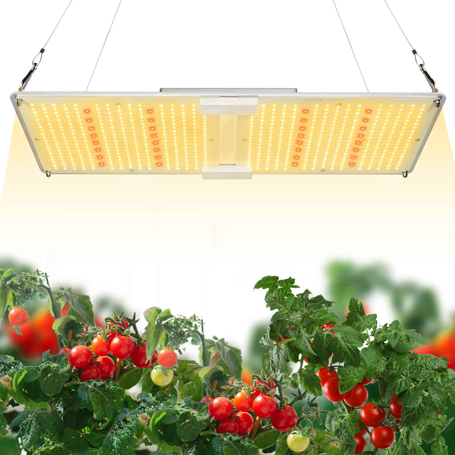 艾博特YC系列2000G详情页