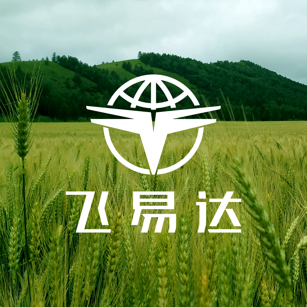 飞易达品牌LOGO设计，无人机品牌VI设计，电机品牌VI设计公司