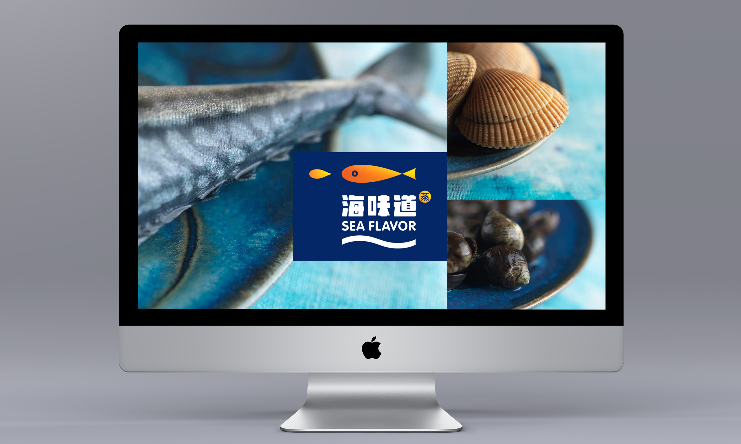 显示行业品牌设计，显示视行业网站设计开发公司{标派视觉}